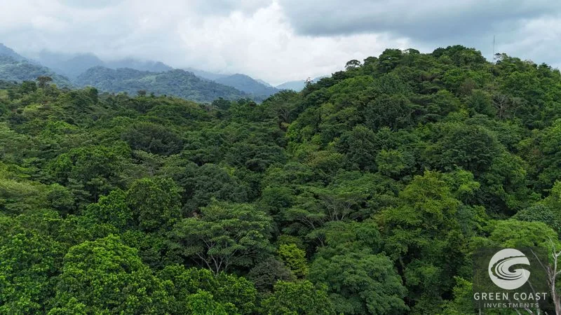 Expansive 5,225m² Lot in Las Palmas, Parrita – Ocean View Potential, Ready for Your Dream Project! — view 3, Parrita, Costa Rica