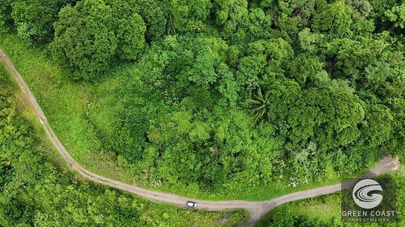 Expansive 5,225m² Lot in Las Palmas, Parrita – Ocean View Potential, Ready for Your Dream Project! — view 4, Parrita, Costa Rica