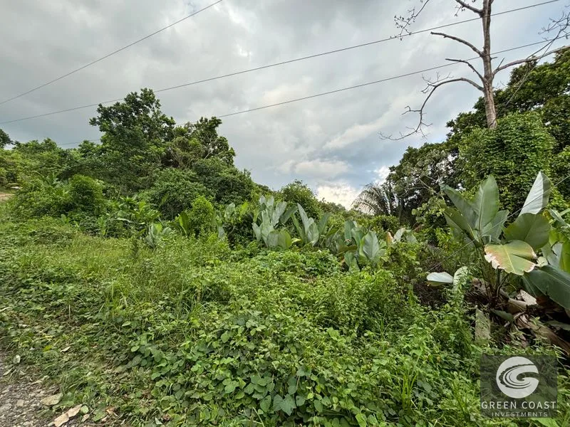 Expansive 5,225m² Lot in Las Palmas, Parrita – Ocean View Potential, Ready for Your Dream Project! — view 5, Parrita, Costa Rica