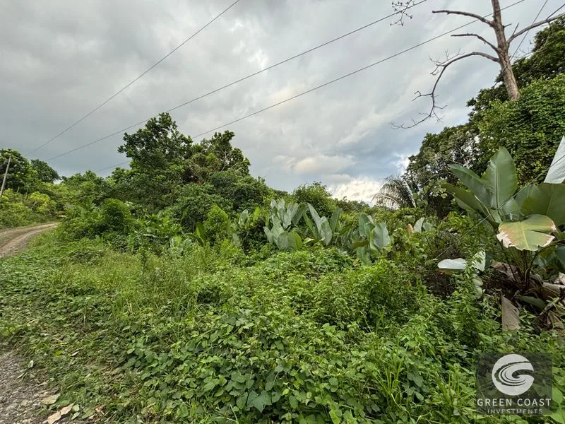 Expansive 5,225m² Lot in Las Palmas, Parrita – Ocean View Potential, Ready for Your Dream Project! — view 6, Parrita, Costa Rica
