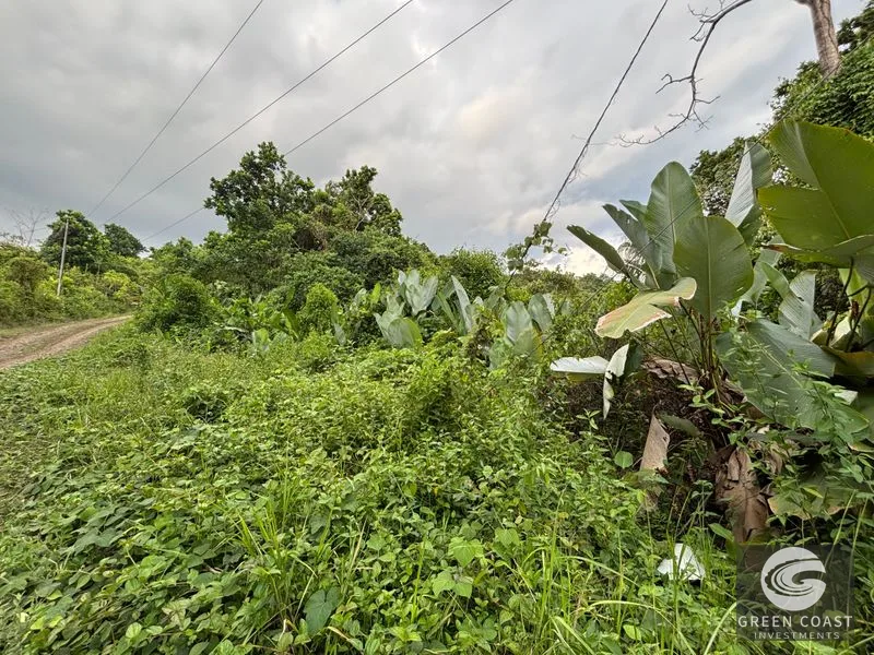 Expansive 5,225m² Lot in Las Palmas, Parrita – Ocean View Potential, Ready for Your Dream Project! — view 7, Parrita, Costa Rica
