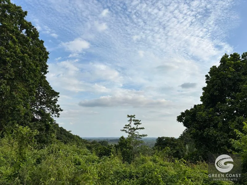 Expansive 5,225m² Lot in Las Palmas, Parrita – Ocean View Potential, Ready for Your Dream Project! — view 8, Parrita, Costa Rica