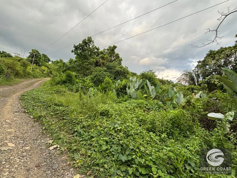 Expansive 5,225m² Lot in Las Palmas, Parrita – Ocean View Potential, Ready for Your Dream Project! — view 9, Parrita, Costa Rica