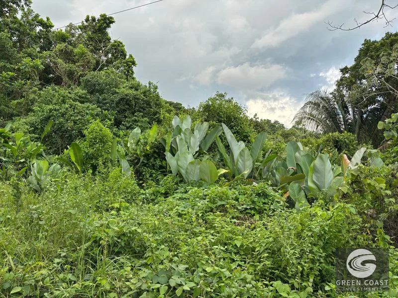 Expansive 5,225m² Lot in Las Palmas, Parrita – Ocean View Potential, Ready for Your Dream Project! — view 10, Parrita, Costa Rica