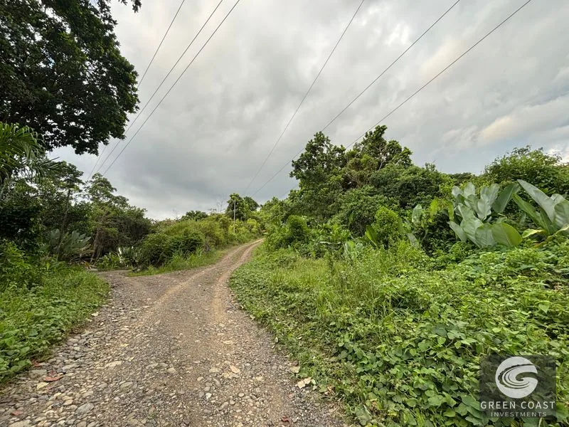 Expansive 5,225m² Lot in Las Palmas, Parrita – Ocean View Potential, Ready for Your Dream Project! — view 11, Parrita, Costa Rica