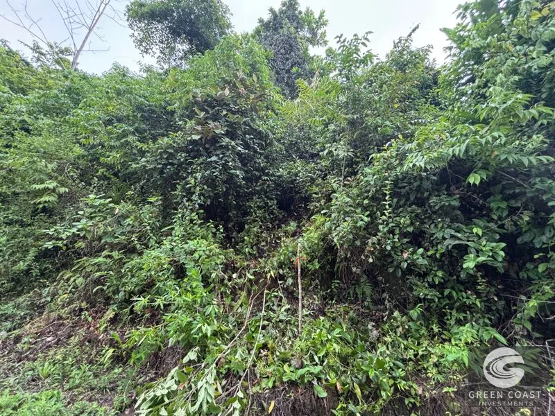 Expansive 5,225m² Lot in Las Palmas, Parrita – Ocean View Potential, Ready for Your Dream Project! — view 13, Parrita, Costa Rica