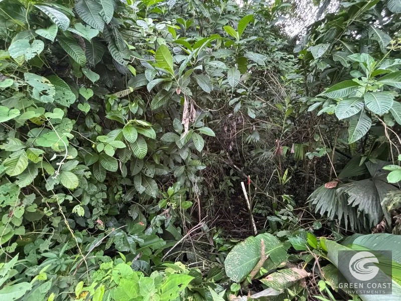 Expansive 5,225m² Lot in Las Palmas, Parrita – Ocean View Potential, Ready for Your Dream Project! — view 14, Parrita, Costa Rica