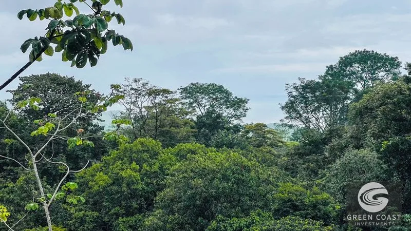 Ojochal Estate: Two Homes, Ocean & Mountain Views, Pool & Expansion Potential on 1.55 Acres — view 43, Ojochal, Ojochal, Costa Rica