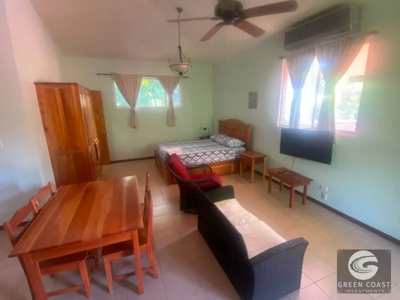 Ojochal Income Property: 4 Furnished Apartments Near Playa Tortuga with Expansion Land — view 20, Ojochal, Ojochal, Costa Rica