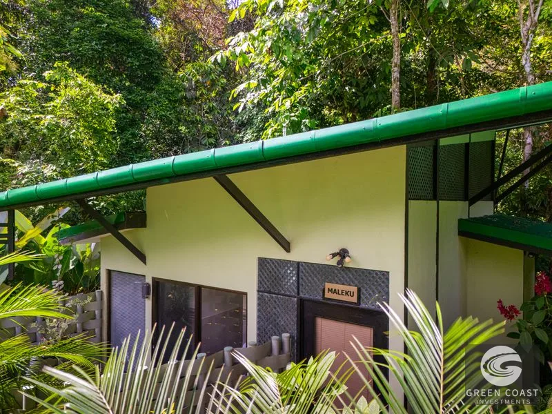 Turnkey Riverside Eco-Resort or Private Family Compound in Ojochal with Pool & Jungle Views — view 23, Ojochal, Costa Rica