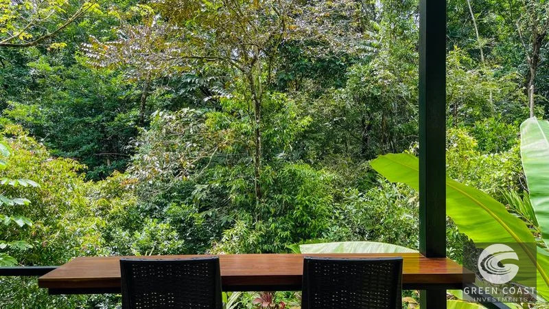 Modern House For Sale With Jungle View, Peaceful Stream, and Rental Cabins — view 7, Ojochal, Ojochal, Costa Rica