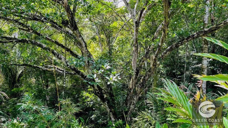 Modern House For Sale With Jungle View, Peaceful Stream, and Rental Cabins — view 50, Ojochal, Ojochal, Costa Rica