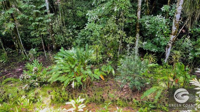 Modern House For Sale With Jungle View, Peaceful Stream, and Rental Cabins — view 51, Ojochal, Ojochal, Costa Rica
