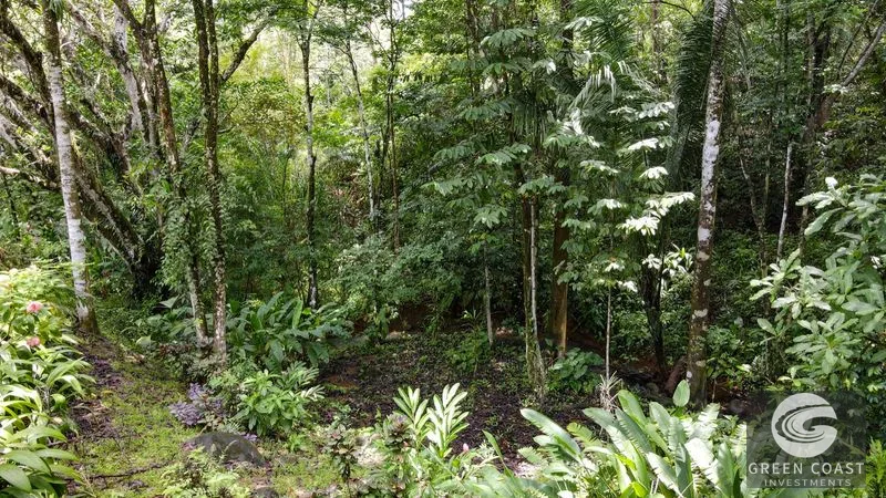 Modern House For Sale With Jungle View, Peaceful Stream, and Rental Cabins — view 53, Ojochal, Ojochal, Costa Rica