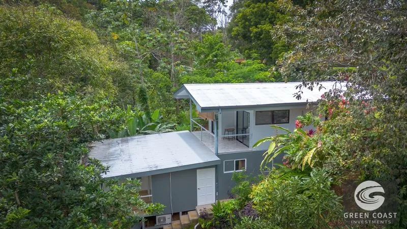 Jungle Oasis: 4 Furnished Homes, Income Potential, 15 Mins to Dominical Beach — view 1, Platanillo, Pérez Zeledón, Costa Rica