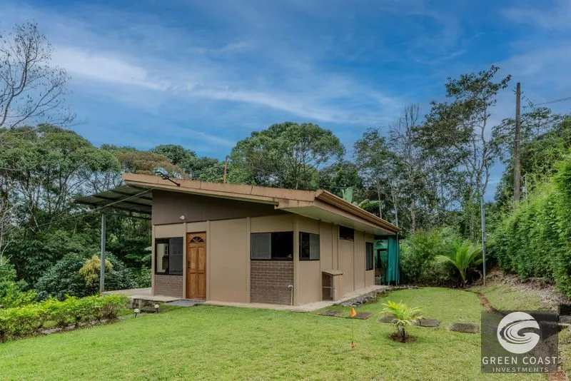 Jungle Oasis: 4 Furnished Homes, Income Potential, 15 Mins to Dominical Beach — view 4, Platanillo, Pérez Zeledón, Costa Rica