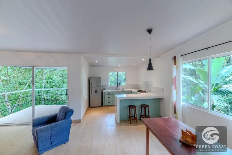 Jungle Oasis: 4 Furnished Homes, Income Potential, 15 Mins to Dominical Beach — view 21, Platanillo, Pérez Zeledón, Costa Rica