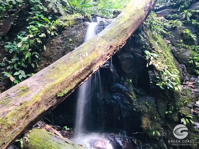 OCEAN VIEW ESTATE HOME WITH GUEST BUNGALOW, CARETAKER HOME, FRUIT TREES, AND WATERFALL – 3.47 ACRES — view 47, Ojochal, Ojochal, Costa Rica