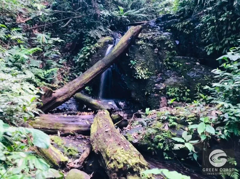 OCEAN VIEW ESTATE HOME WITH GUEST BUNGALOW, CARETAKER HOME, FRUIT TREES, AND WATERFALL – 3.47 ACRES — view 50, Ojochal, Ojochal, Costa Rica