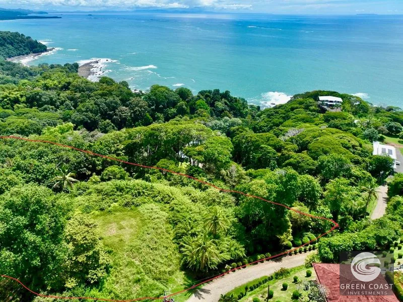 Whale's Tail Ocean View Luxury Estate Lot with Easy Highway Access — view 1, Dominical, Costa Rica