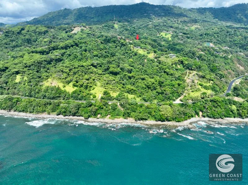 Whale's Tail Ocean View Luxury Estate Lot with Easy Highway Access — view 3, Dominical, Costa Rica