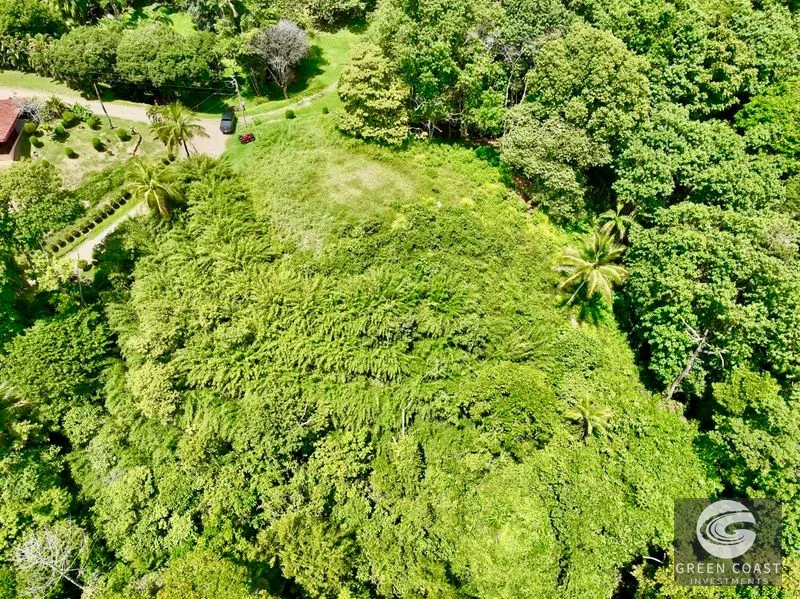 Whale's Tail Ocean View Luxury Estate Lot with Easy Highway Access — view 5, Dominical, Costa Rica