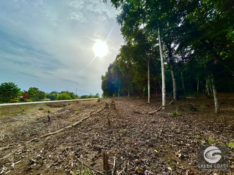 Prime Commercial/Residential Lots in Tawal – Near Cortes Hospital & Beaches — view 1, San Buenas, Osa, Costa Rica