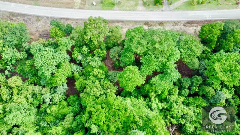 Prime Commercial/Residential Lots in Tawal – Near Cortes Hospital & Beaches — view 6, San Buenas, Osa, Costa Rica
