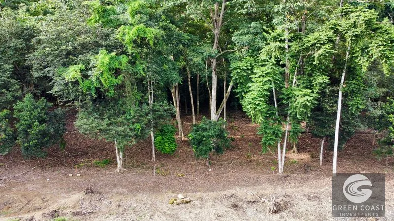 Prime Commercial/Residential Lots in Tawal – Near Cortes Hospital & Beaches — view 7, San Buenas, Osa, Costa Rica