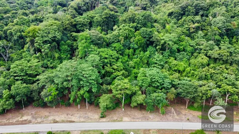 Prime Commercial/Residential Lots in Tawal – Near Cortes Hospital & Beaches — view 8, San Buenas, Osa, Costa Rica