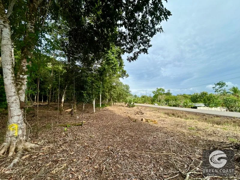 Prime Commercial/Residential Lots in Tawal – Near Cortes Hospital & Beaches — view 11, San Buenas, Osa, Costa Rica