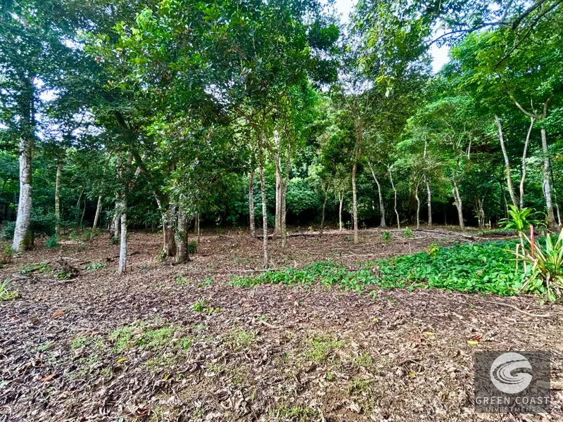 Prime Commercial/Residential Lots in Tawal – Near Cortes Hospital & Beaches — view 13, San Buenas, Osa, Costa Rica