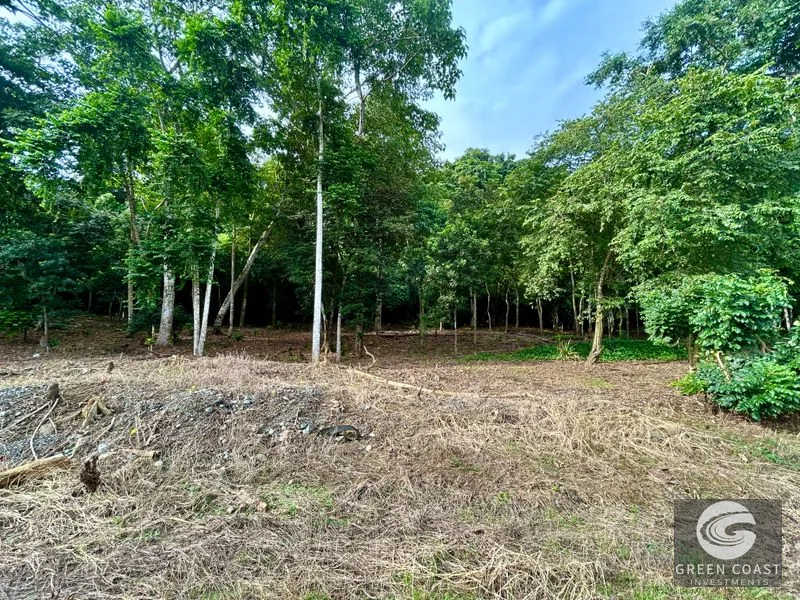 Prime Commercial/Residential Lots in Tawal – Near Cortes Hospital & Beaches — view 14, San Buenas, Osa, Costa Rica