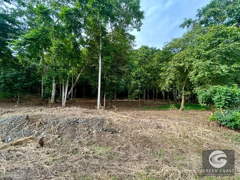 Prime Commercial/Residential Lots in Tawal – Near Cortes Hospital & Beaches — view 15, San Buenas, Osa, Costa Rica