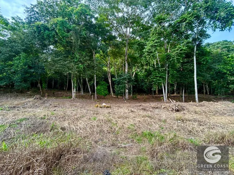 Prime Commercial/Residential Lots in Tawal – Near Cortes Hospital & Beaches — view 16, San Buenas, Osa, Costa Rica