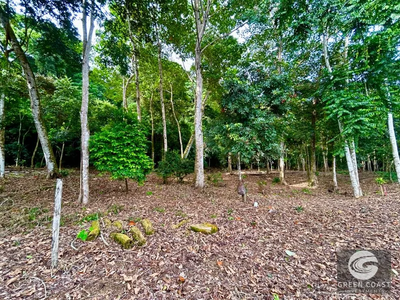 Prime Commercial/Residential Lots in Tawal – Near Cortes Hospital & Beaches — view 20, San Buenas, Osa, Costa Rica