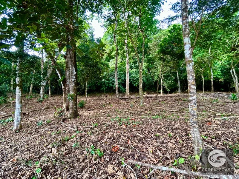 Prime Commercial/Residential Lots in Tawal – Near Cortes Hospital & Beaches — view 21, San Buenas, Osa, Costa Rica