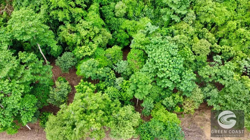Prime Commercial/Residential Lots in Tawal – Near Cortes Hospital & Beaches — view 22, San Buenas, Osa, Costa Rica