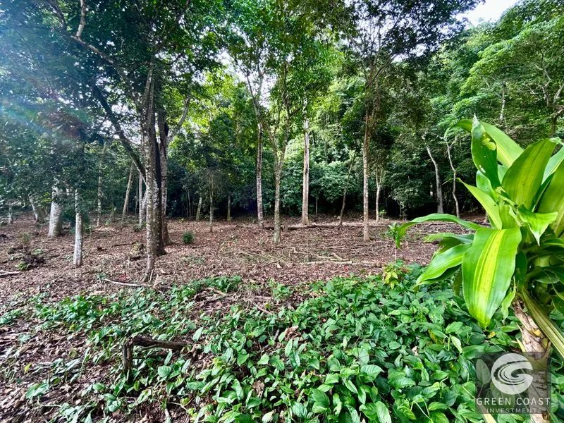 Prime Commercial/Residential Lots in Tawal – Near Cortes Hospital & Beaches — view 26, San Buenas, Osa, Costa Rica