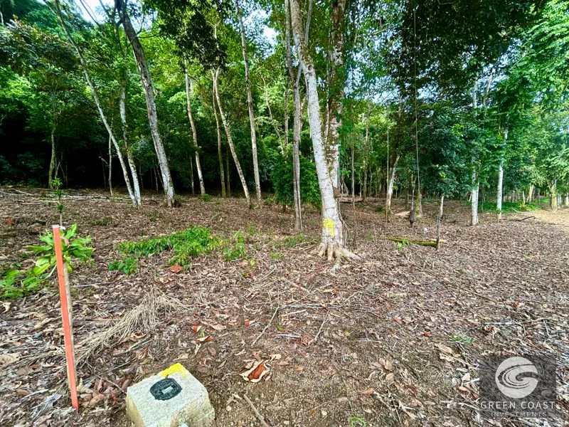 Prime Commercial/Residential Lots in Tawal – Near Cortes Hospital & Beaches — view 27, San Buenas, Osa, Costa Rica