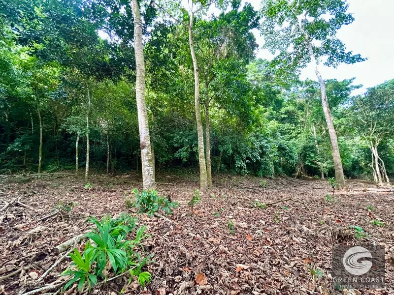 Prime Commercial/Residential Lots in Tawal – Near Cortes Hospital & Beaches — view 28, San Buenas, Osa, Costa Rica