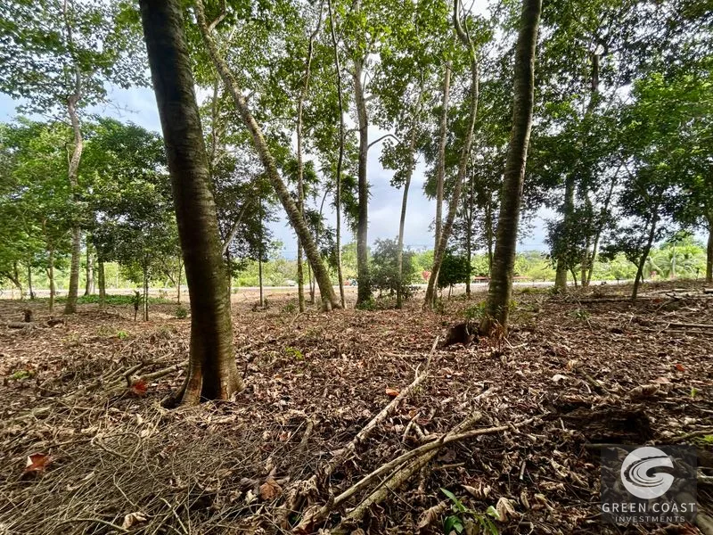 Prime Commercial/Residential Lots in Tawal – Near Cortes Hospital & Beaches — view 29, San Buenas, Osa, Costa Rica