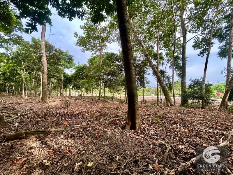 Prime Commercial/Residential Lots in Tawal – Near Cortes Hospital & Beaches — view 30, San Buenas, Osa, Costa Rica