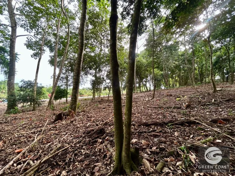 Prime Commercial/Residential Lots in Tawal – Near Cortes Hospital & Beaches — view 31, San Buenas, Osa, Costa Rica