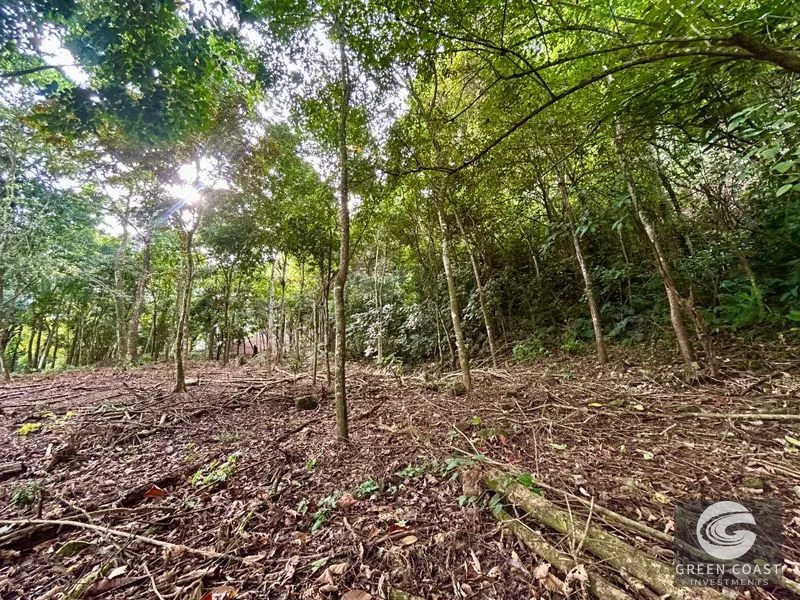 Prime Commercial/Residential Lots in Tawal – Near Cortes Hospital & Beaches — view 32, San Buenas, Osa, Costa Rica