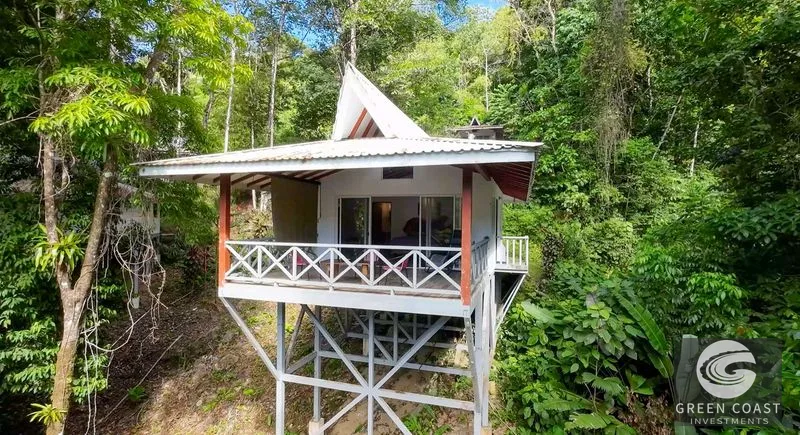 Nature Retreat Estate – Southern Pacific Zone, Costa Rica — view 55, Tres Rios, Osa, Costa Rica