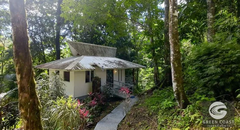 Nature Retreat Estate – Southern Pacific Zone, Costa Rica — view 56, Tres Rios, Osa, Costa Rica
