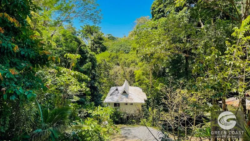 Nature Retreat Estate – Southern Pacific Zone, Costa Rica — view 61, Tres Rios, Osa, Costa Rica