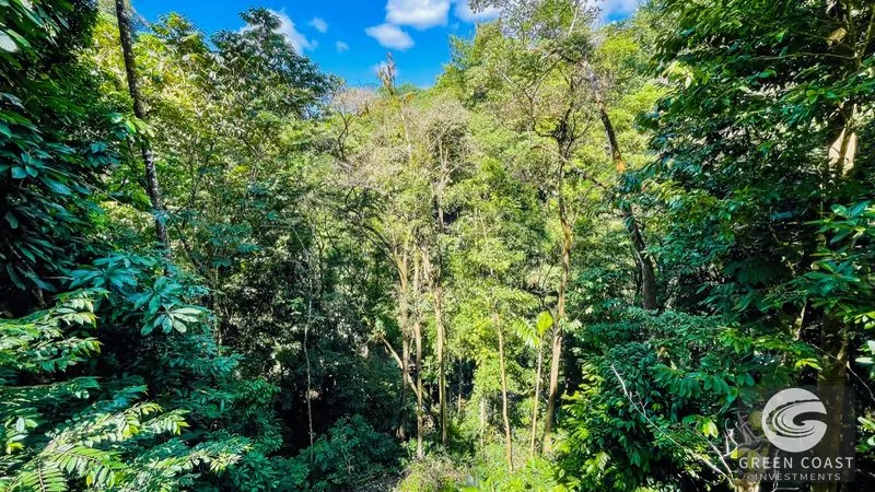 Nature Retreat Estate – Southern Pacific Zone, Costa Rica — view 63, Tres Rios, Osa, Costa Rica