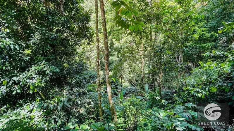Nature Retreat Estate – Southern Pacific Zone, Costa Rica — view 67, Tres Rios, Osa, Costa Rica